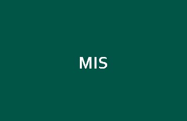 Management Information System - MIS