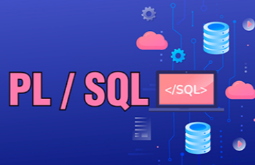 PL/SQL