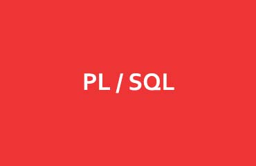 PL/SQL